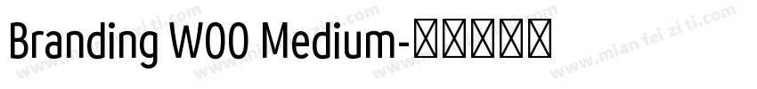 Branding W00 Medium字体转换